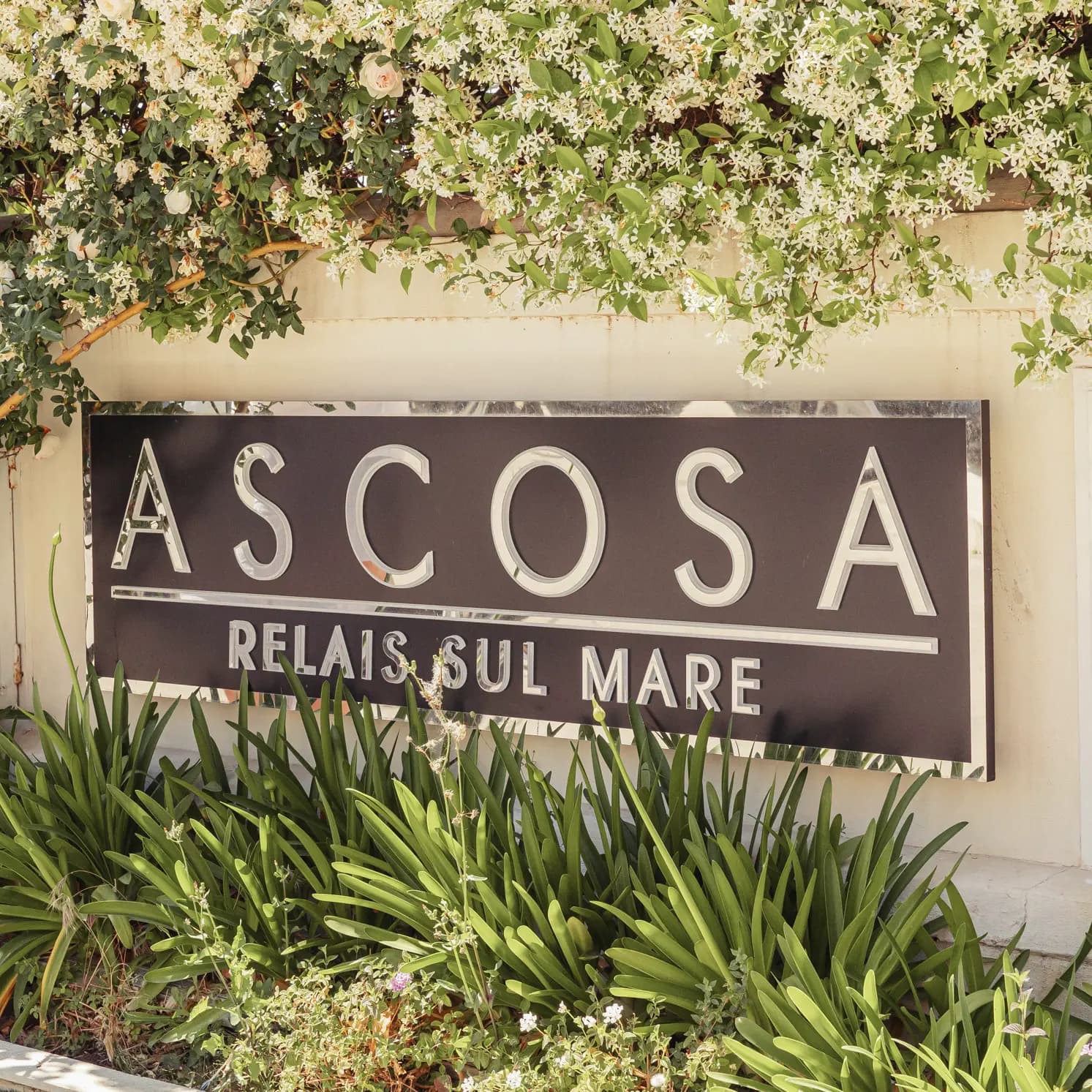 Villa Ascosa — spazio 4